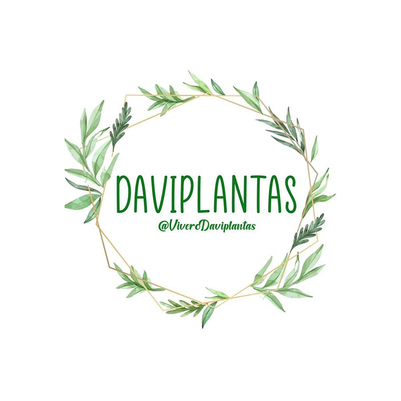 logo-daviplantas